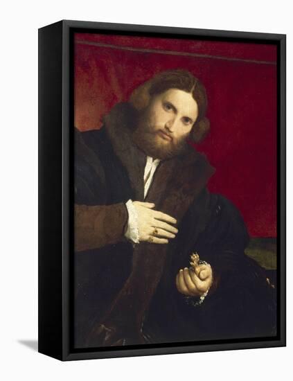 Portrait of Gentleman with Lion's Paw-Lorenzo Lotto-Framed Stretched Canvas