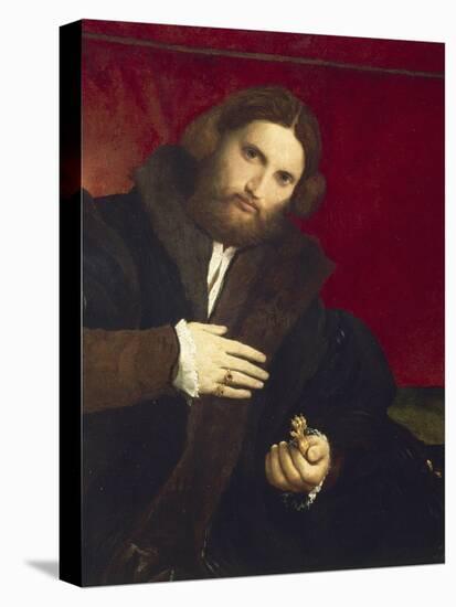 Portrait of Gentleman with Lion's Paw-Lorenzo Lotto-Stretched Canvas