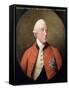 Portrait of George III (1738-1820) 1794-David Dodd-Framed Stretched Canvas