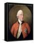 Portrait of George III (1738-1820) 1794-David Dodd-Framed Stretched Canvas