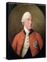 Portrait of George III (1738-1820) 1794-David Dodd-Stretched Canvas