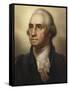 Portrait of George Washington, 1795-Rembrandt Peale-Framed Stretched Canvas