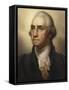 Portrait of George Washington, 1795-Rembrandt Peale-Framed Stretched Canvas