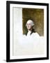 Portrait of George Washington (The Athenaeum Portrait)-Gilbert Stuart-Framed Giclee Print