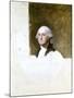 Portrait of George Washington (The Athenaeum Portrait)-Gilbert Stuart-Mounted Giclee Print