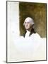 Portrait of George Washington (The Athenaeum Portrait)-Gilbert Stuart-Mounted Giclee Print