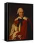 Portrait of George William, 6th Earl of Coventry, in Peer's Robes-Nathaniel Dance-Holland-Framed Stretched Canvas