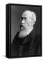 Portrait of German Psychologist Wilhelm Wundt-German photographer-Framed Stretched Canvas