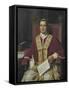 Portrait of Giovanni Maria Mastai Ferretti, Pope Pius IX from 1846 to 1878-null-Framed Stretched Canvas