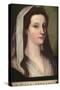 Portrait of Giulia Gonzaga-Sebastiano del Piombo-Stretched Canvas