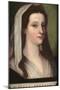 Portrait of Giulia Gonzaga-Sebastiano del Piombo-Mounted Giclee Print