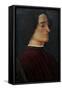 Portrait of Giuliano De Medici, 1478-Sandro Botticelli-Framed Stretched Canvas