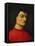 Portrait of Giuliano De Medici-Agnolo Bronzino-Framed Stretched Canvas