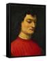 Portrait of Giuliano De Medici-Agnolo Bronzino-Framed Stretched Canvas