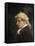 Portrait of Giuseppe Tartini-null-Framed Stretched Canvas