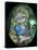 Portrait of Goldilocks-Jasmine Becket-Griffith-Stretched Canvas