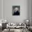 Portrait of Gouverneur Morris (1752-1816)-James Sharples-Giclee Print displayed on a wall