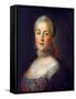 Portrait of Grand Duchess Catherine Alekseyevna, 1760-Alexei Petrovich Antropov-Framed Stretched Canvas
