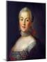 Portrait of Grand Duchess Catherine Alekseyevna, 1760-Alexei Petrovich Antropov-Mounted Giclee Print