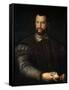 Portrait of Grand Duke of Tuscany Cosimo I De' Medici, (1519-157), after 1560-Agnolo Bronzino-Framed Stretched Canvas