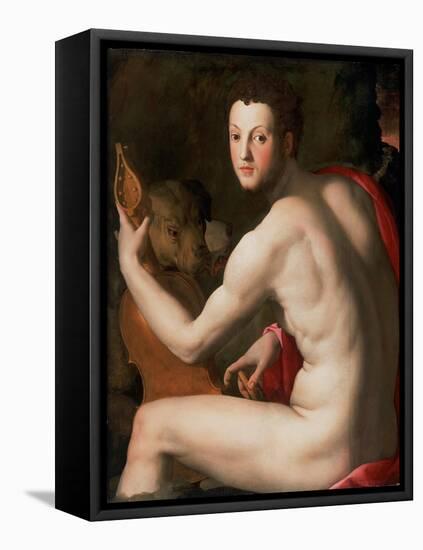 Portrait of Grand Duke of Tuscany Cosimo I De' Medici (1519-157) as Orpheus, Ca 1537-Agnolo Bronzino-Framed Stretched Canvas