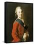 Portrait of Grand Duke Paul Petrovich (Future Tsar Paul I)-Alexander Roslin-Framed Stretched Canvas