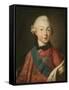 Portrait of Grand Duke Pavel Petrovich (1754-180), 1765-Alexei Petrovich Antropov-Framed Stretched Canvas