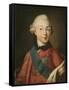 Portrait of Grand Duke Pavel Petrovich (1754-180), 1765-Alexei Petrovich Antropov-Framed Stretched Canvas