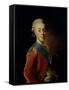 Portrait of Grand Duke Pavel Petrovich (1754-180), 1776-Alexander Roslin-Framed Stretched Canvas