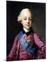 Portrait of Grand Duke Pavel Petrovich (1754-180)-Vigilius Erichsen-Mounted Giclee Print