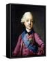 Portrait of Grand Duke Pavel Petrovich (1754-180)-Vigilius Erichsen-Framed Stretched Canvas