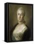 Portrait of Grand Princess Katharina Alexeievna, c.1761-Pietro Antonio Rotari-Framed Stretched Canvas