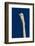 Portrait of Great Egret (Ardea Alba), Pinellas County, Florida, USA-Lynn M^ Stone-Framed Photographic Print