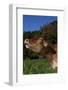 Portrait of Guernsey Cow Lying in Autum Pasture While Chewing Her Cud, Granby-Lynn M^ Stone-Framed Photographic Print