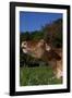 Portrait of Guernsey Cow Lying in Autum Pasture While Chewing Her Cud, Granby-Lynn M^ Stone-Framed Photographic Print