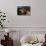 Portrait of Guernsey Cow Lying in Autum Pasture While Chewing Her Cud, Granby-Lynn M^ Stone-Photographic Print displayed on a wall