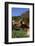 Portrait of Guernsey Cow Lying in Autum Pasture While Chewing Her Cud, Granby-Lynn M^ Stone-Framed Photographic Print