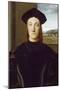 Portrait of Guidobaldo Da Montefeltro by Raphael-null-Mounted Giclee Print