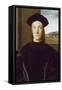 Portrait of Guidobaldo Da Montefeltro by Raphael-null-Framed Stretched Canvas