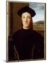 Portrait of Guidobaldo Da Montefeltro, Duke of Urbino (Oil on Canvas)-Raphael (1483-1520)-Mounted Giclee Print