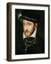 Portrait of Henri II (1519-59)-Francesco Primaticcio-Framed Giclee Print