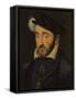 Portrait of Henri II of France-Francois Clouet-Framed Stretched Canvas