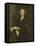 Portrait of Henricus Liberti, Composer and Organist-Anthony Van Dyck-Framed Stretched Canvas