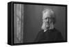 Portrait of Henrik Ibsen (1828-190)-null-Framed Stretched Canvas