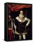 Portrait of Henry IV of France-null-Framed Stretched Canvas