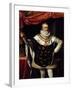 Portrait of Henry IV of France-null-Framed Giclee Print