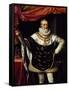 Portrait of Henry IV of France-null-Framed Stretched Canvas