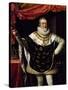 Portrait of Henry IV of France-null-Stretched Canvas