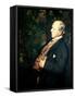 Portrait of Henry James, 1908-Jacques-emile Blanche-Framed Stretched Canvas