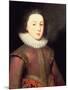 Portrait of Henry, Prince of Wales-Paul van Somer-Mounted Giclee Print